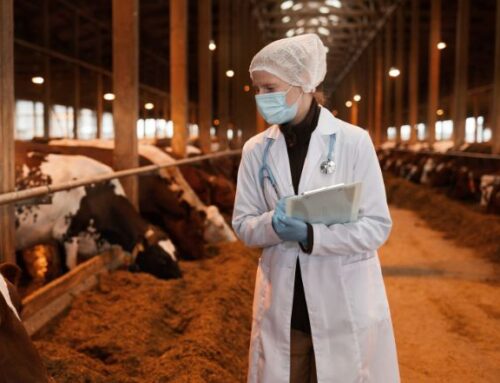 Residui di farmaci veterinari: il decreto aggiorna il quadro nazionale dei controlli